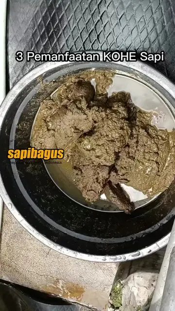 Pemanfaatan-Limbah-KOHE-Ternak-Sapi-